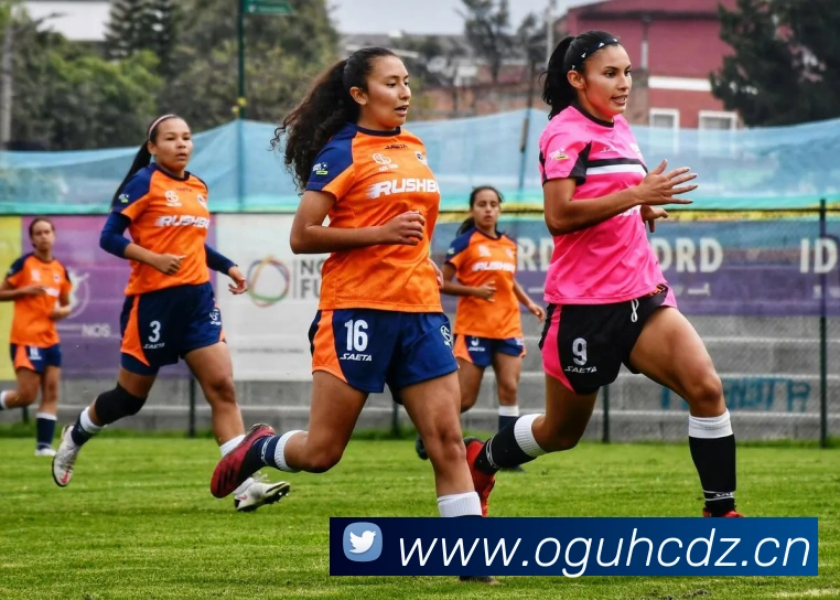 九游官方登录入口APP 封面图